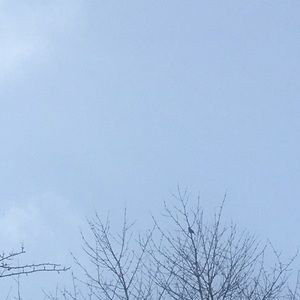 Meet your Posher, Hadish